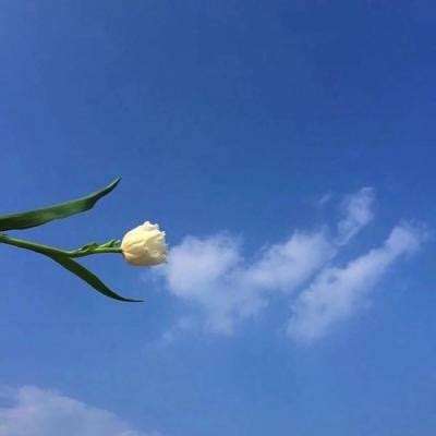 美方向伊朗提出和谈方案！伊朗任命最高国家安全委员会新秘书！国际油价直线跳水！LPG期价大跌超6%